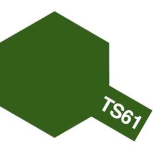 TS61 VERT NATO