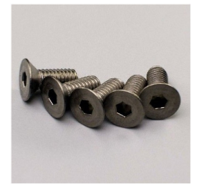 VIS METAL M4X10 (5) TITANE TETE FRAISEE HEX KYOSHO 1S344010